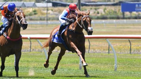 Latest Kurow Horse Racing Results .
